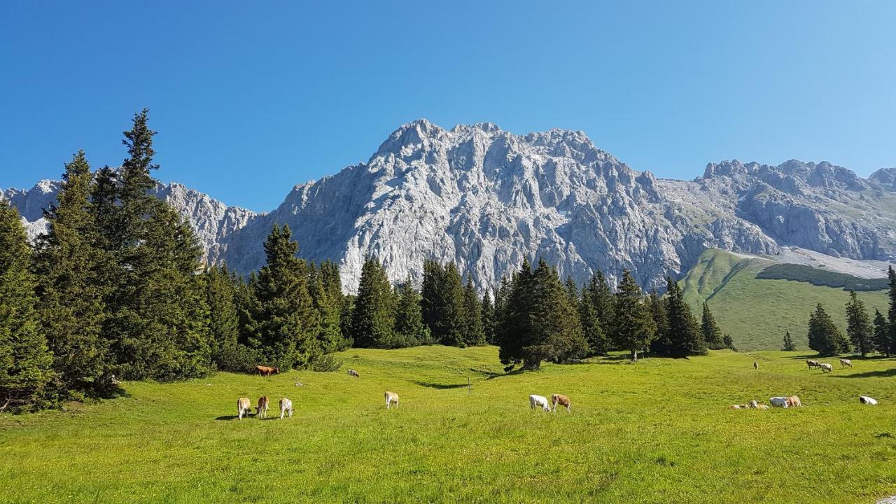 Ferienhaus Villa Alpenpanorama Ohlstadt Exterior photo